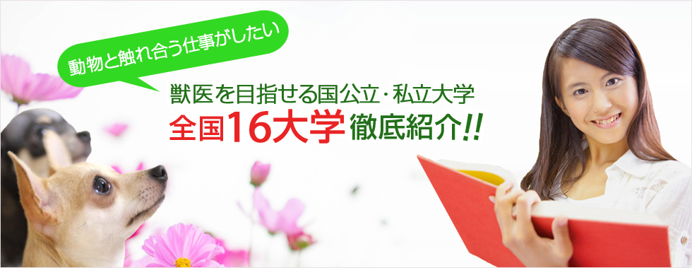 獣医・獣医師を目指せる国公立大学・私立大学/大学院